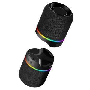 2-in-1 Bluetooth Speaker